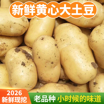 新鲜土豆批发 农家自种马铃薯...